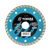 картинка Диск алм. отр. турбо 125 х 22,2 мм + кольцо 16/22,2 мм TUNDRA /1032283/ от компании Иж-туд